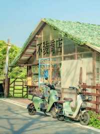 登高望遠的悠然一日