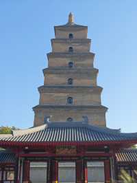 多角度賞花打卡攻略：與經典大雁塔同框