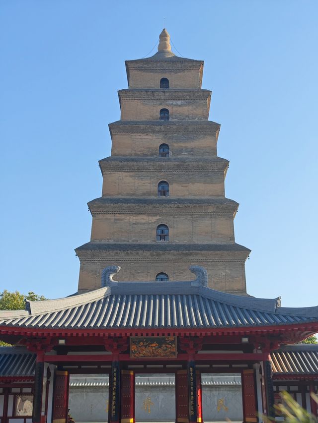 多角度賞花打卡攻略：與經典大雁塔同框
