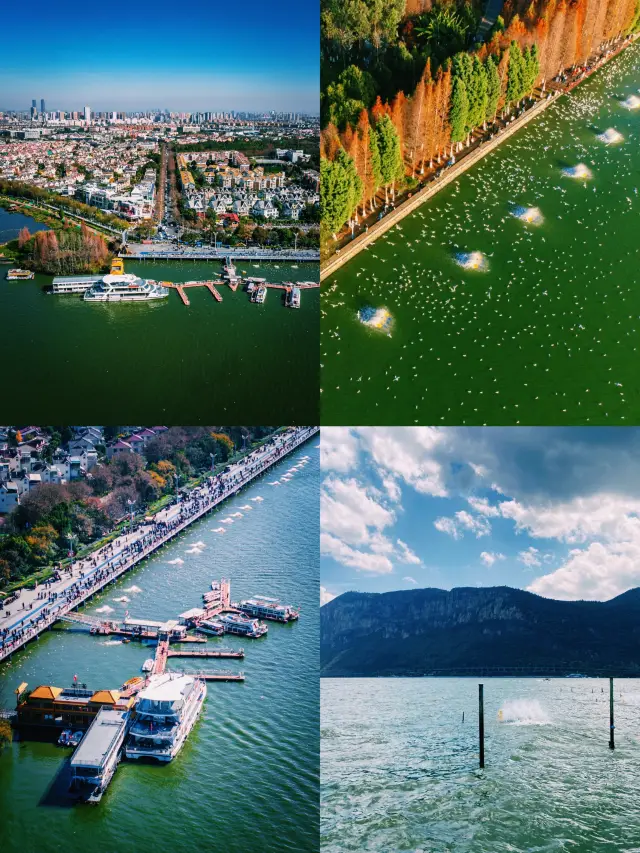 A One-Day Guide to Dianchi Lake, Kunming: Where Seagulls and Sunsets Heal Tired Hearts