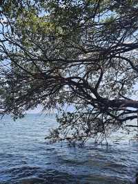 2日玩轉海西-玉樹超詳細行程攻略 立即收藏