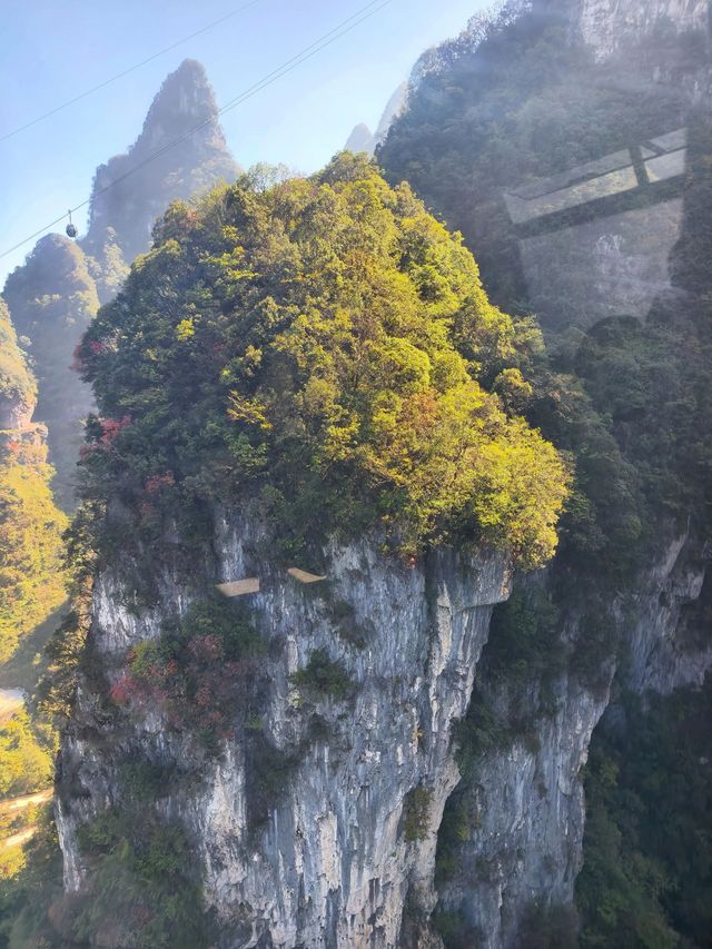 5日暢遊張家界等地 睇山睇水睇世界