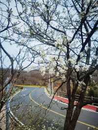 連雲港3-4月遊玩推薦攻略