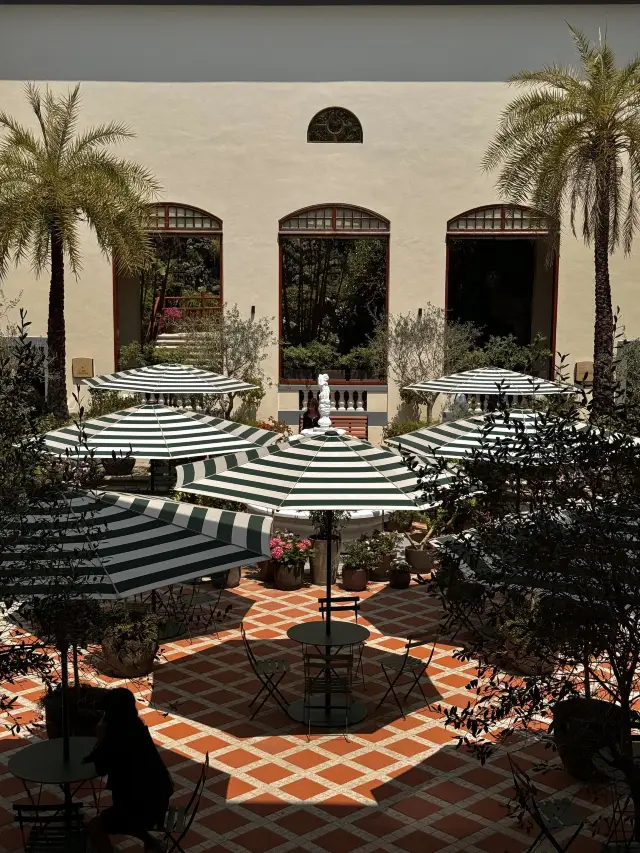 來香港🇭🇰如果只去一個地方！我會毫不猶豫…