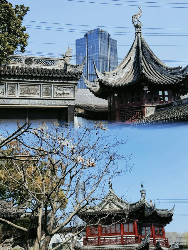 上海豫園超全攻略 帶你邂逅江南雅韻