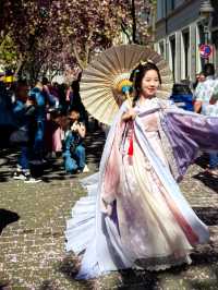 波恩櫻花大道 2025