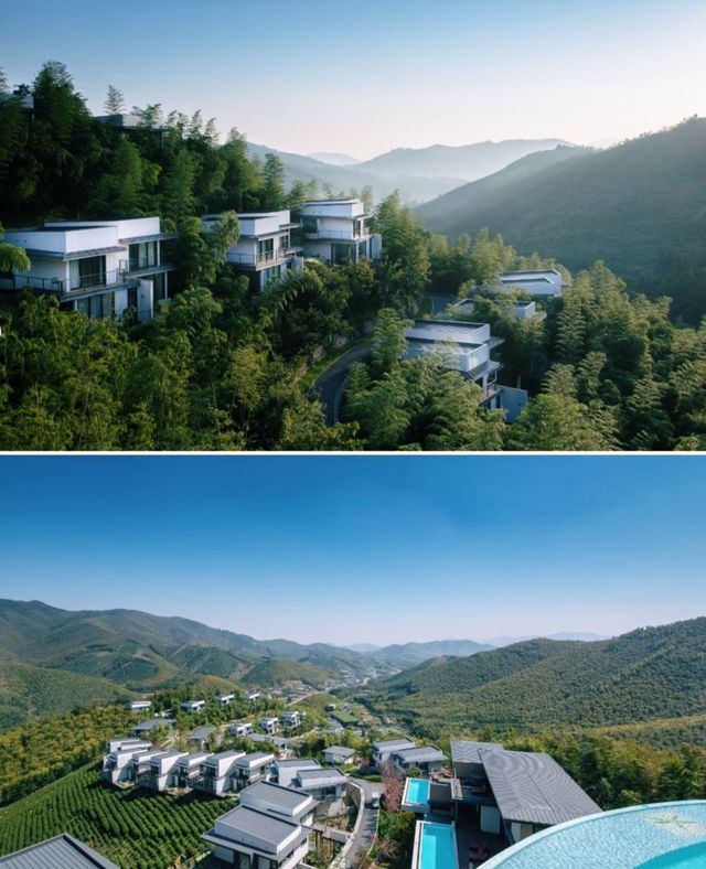 湖州·慧心谷 竹海茶園環繞嘅山景