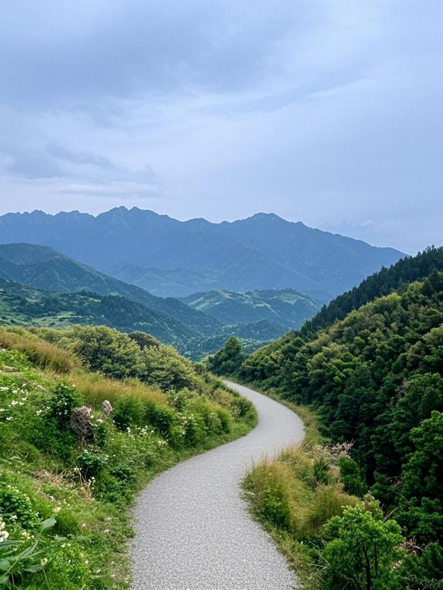 自駕輾壓秋名山｜這條雲端路線讓我想扔導航！