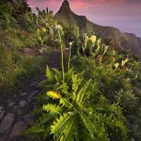 Canary Islands