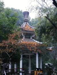 蕪湖嗚呼……快去這座魔幻的三線城市