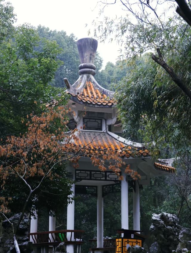 蕪湖嗚呼……快去這座魔幻的三線城市