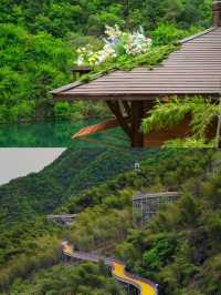 人少景靚又好玩藏喺莫干山嘅小眾樂園