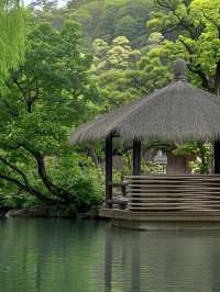 剛從安吉老莊山居逃回！這3個坑讓全家累癱