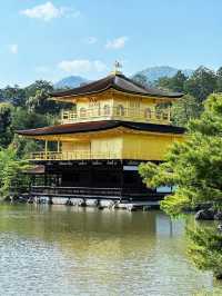京都＆宇治雙城記，世界文化遺產之旅