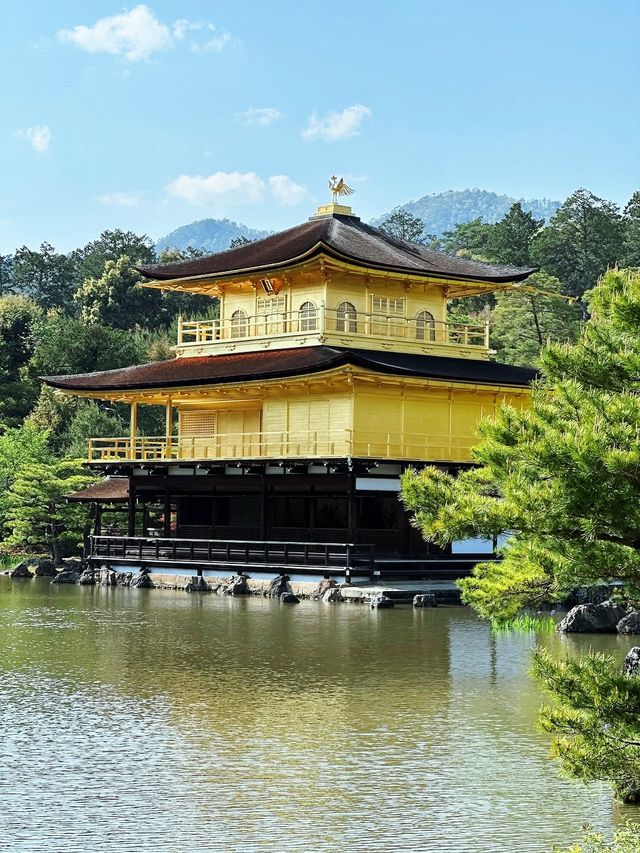 京都＆宇治雙城記，世界文化遺產之旅