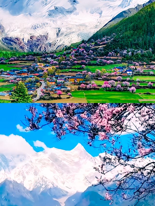 探秘林芝，遇見中國最美的春天