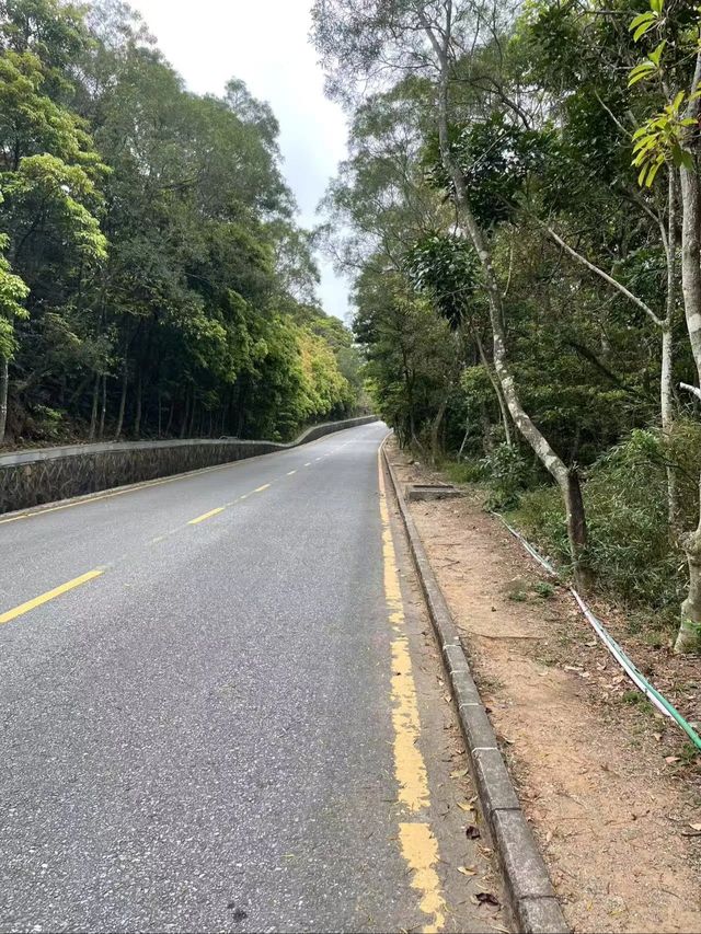 深圳隱藏嘅行山勝地，鹽田梅沙尖