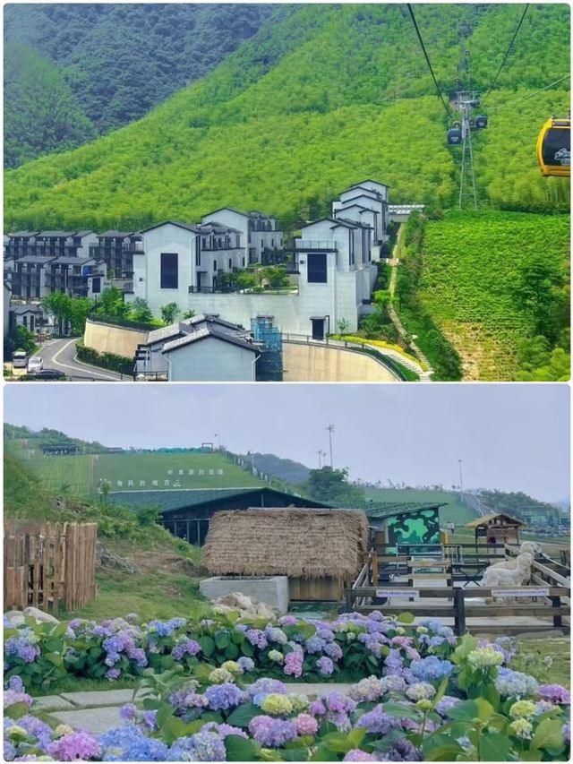 啱啱喺安吉返嚟，講啲難聽嘅大實話