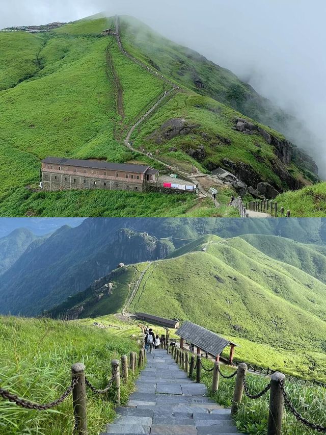 這潑天的青綠誰懂啊武功山！
