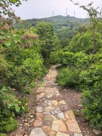 登山，由西山國家森林公園穿越至八大處公園。