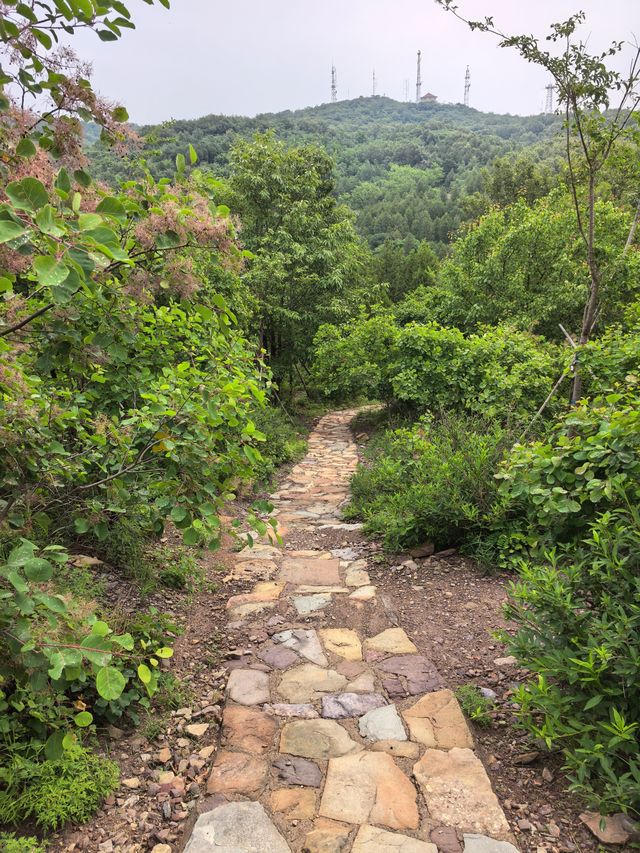 登山，由西山國家森林公園穿越至八大處公園。