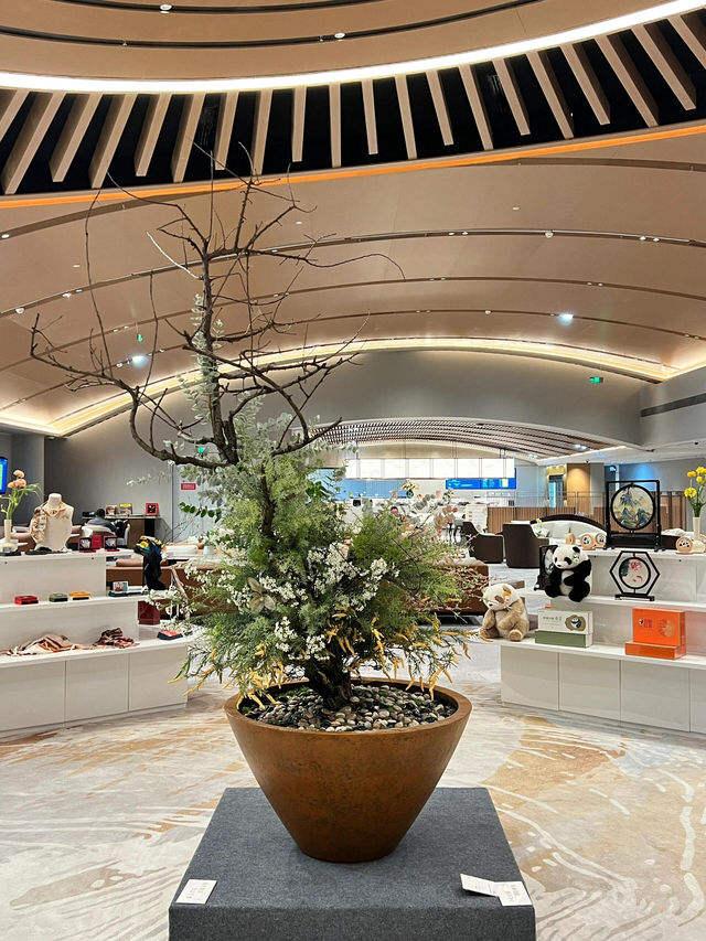 香港機場T2新開的頭等艙休息室也太好待了吧！✈️