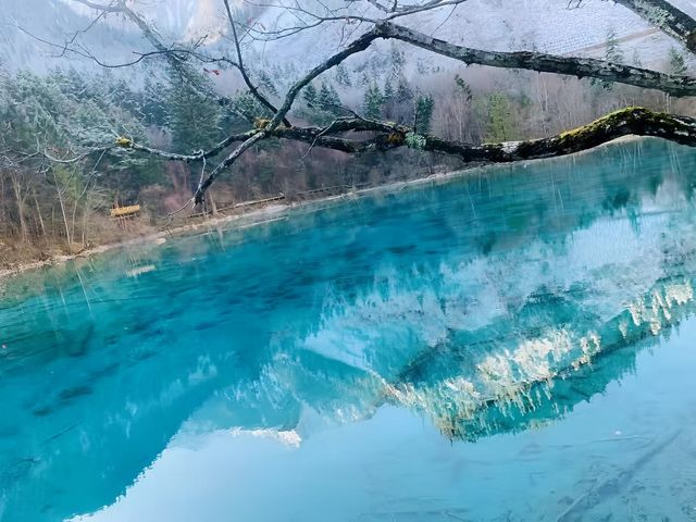 阿壩藏族羌族自治州旅遊攻略：一篇秒懂