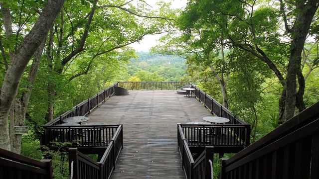 身處自然天堂嘅奢華體驗 - Manjangan Resort   🏨 酒店：曼傑甘度假村   📍 地址：Jl