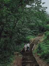 香積寺探幽 | 合谷山居專屬行山體驗