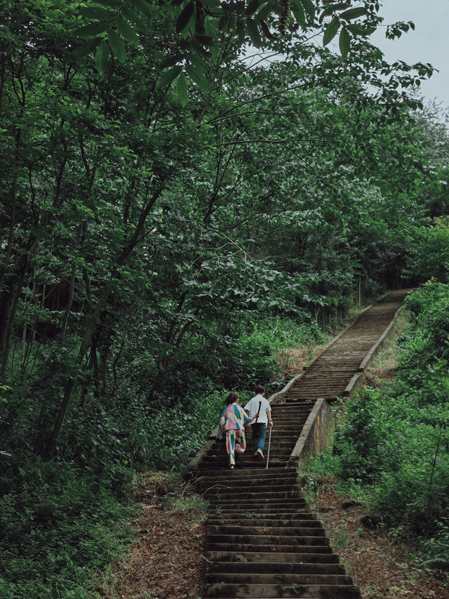 香積寺探幽 | 合谷山居專屬行山體驗