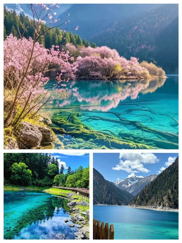 衝入九寨溝！被大自然按頭安利嘅神仙地