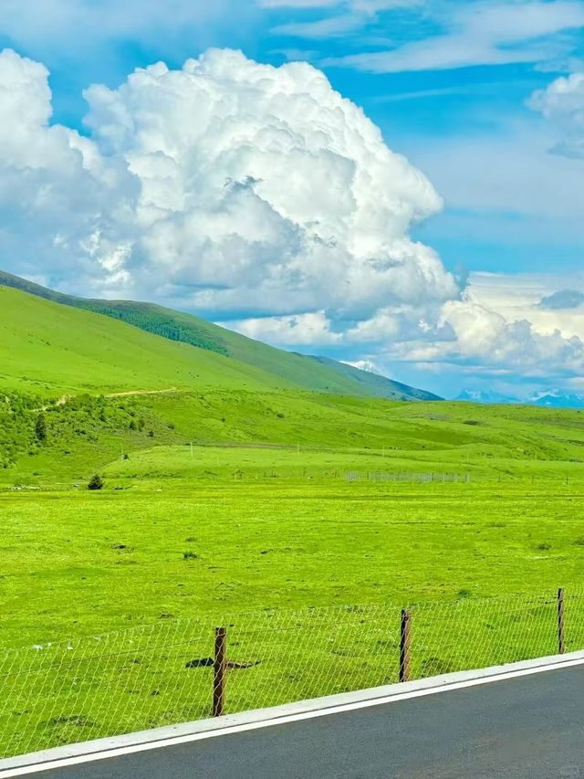 果然，免費嘅先至係最好睇！姑弄村