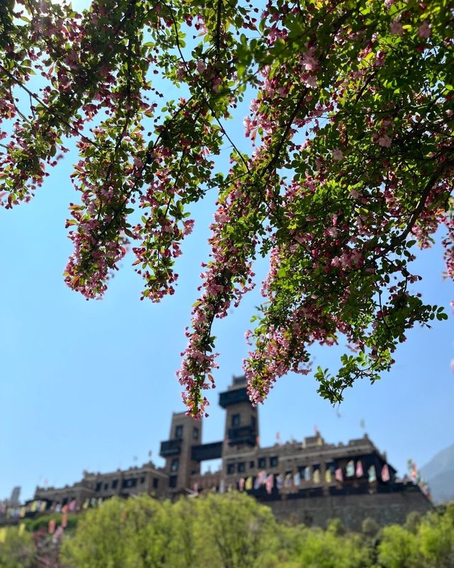 規劃好茂縣之旅，享受呢片美麗而神秘嘅土地。