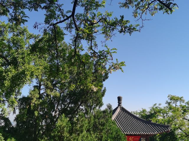 夏日千佛山深度避暑攻略（2025夏日最新版）