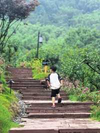 去雅安野玫瑰村落泡玄湯體驗山野童話