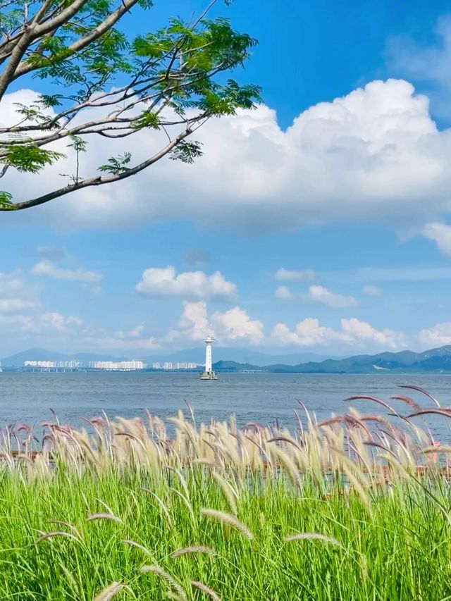 蛇口K11全攻略 | 地鐵直達嘅山海藝術漫遊指南