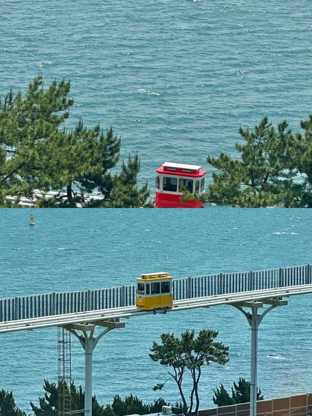 我放棄濟州島了，因為呢度……