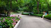 青島中山公園花溪谷