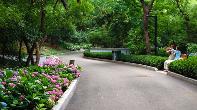 青島中山公園花溪谷