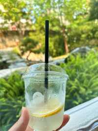🌿 珠海淇澳島｜飲嵐·白舍民宿體驗 