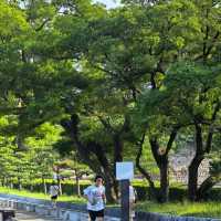 大阪必打卡！穿越時空的大阪城公園一日漫遊攻略✨