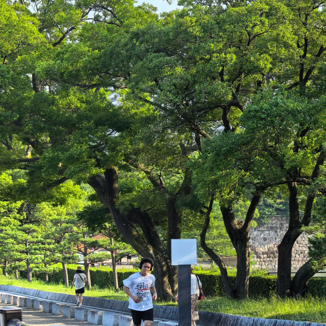 大阪必打卡！穿越時空的大阪城公園一日漫遊攻略✨