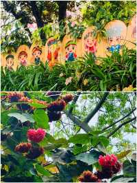 我相冊裏嘅100座城：11.柳州