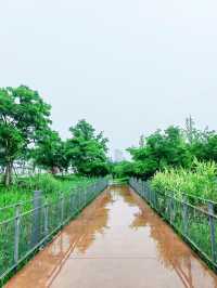 錢江三橋濱江東側，江景壯闊，步道優美