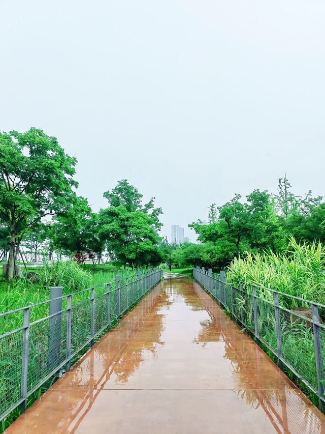 錢江三橋濱江東側，江景壯闊，步道優美