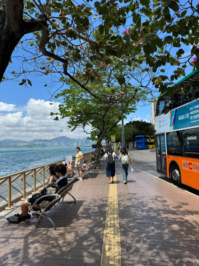 🇭🇰堅尼地城海邊挖到寶！Classy小店的療癒時光🌊