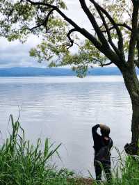 大理洱海古城遊玩打卡攻略去有風的地方