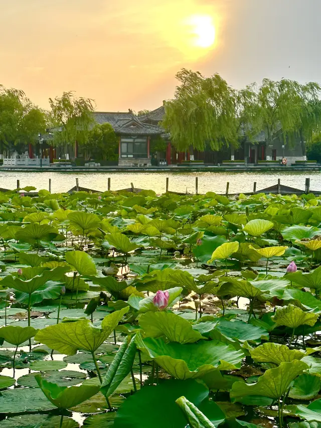 濟南。。。果然最正嘅地方都係免費嘅！（合集）