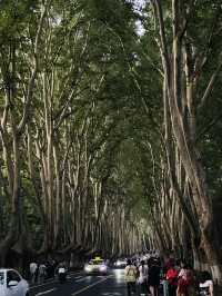 Nanjing 2 Days Travel Guide 
