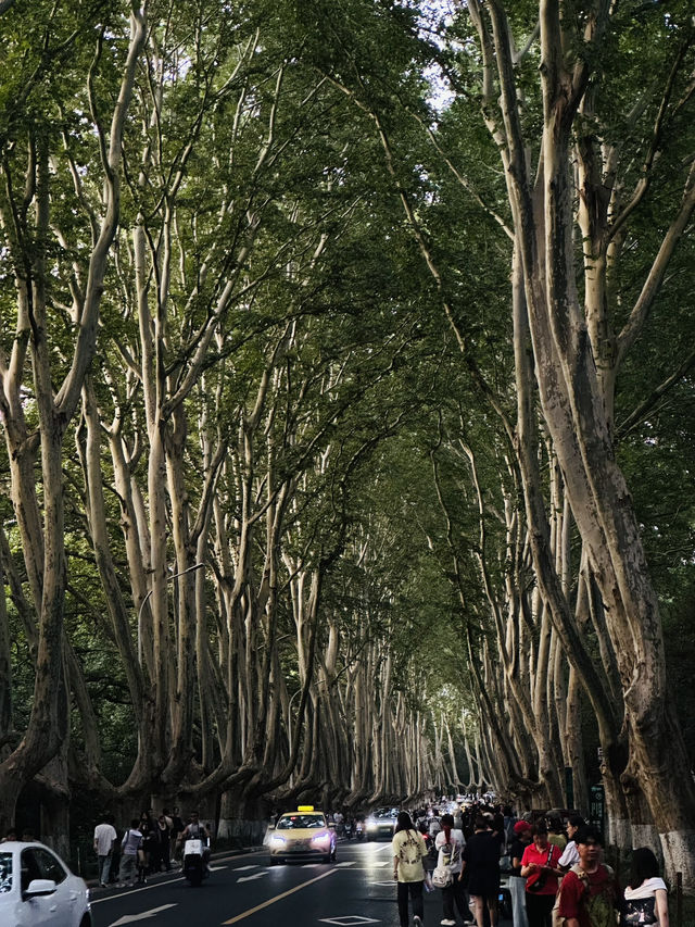 Nanjing 2 Days Travel Guide 